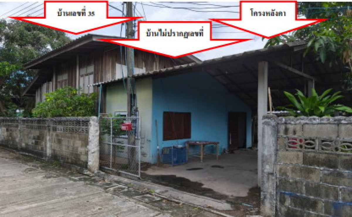 บ้านเดี่ยว เชียงราย ป่าแดด โรงช้าง 226240
