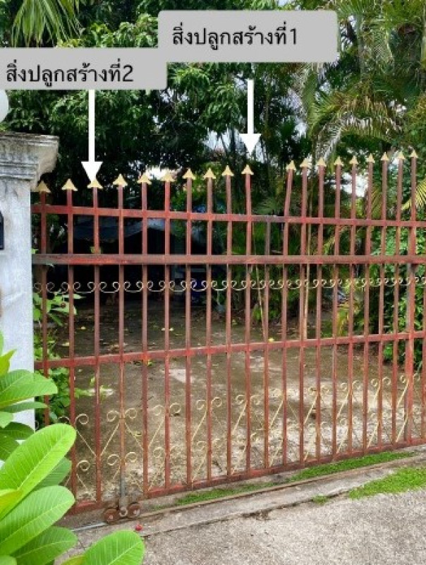 บ้านเดี่ยว ลำพูน เมืองลำพูน ป่าสัก 1223860