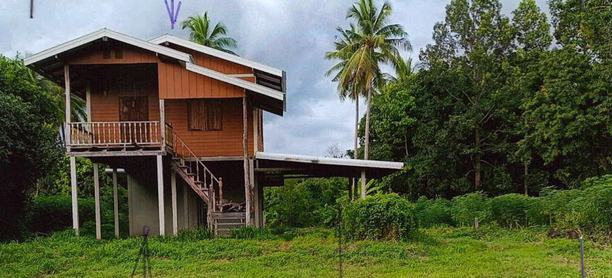 บ้านเดี่ยว พิษณุโลก วังทอง ดินทอง 222000