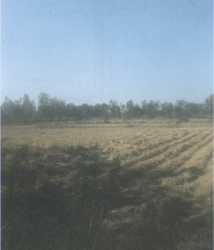 ที่ดินเปล่า มหาสารคาม เมืองมหาสารคาม ลาดพัฒนา 1842500