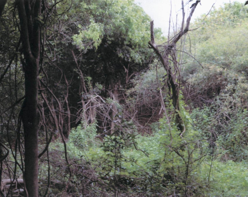 ที่ดินเปล่า สกลนคร บ้านม่วง ดงเหนือ 143000