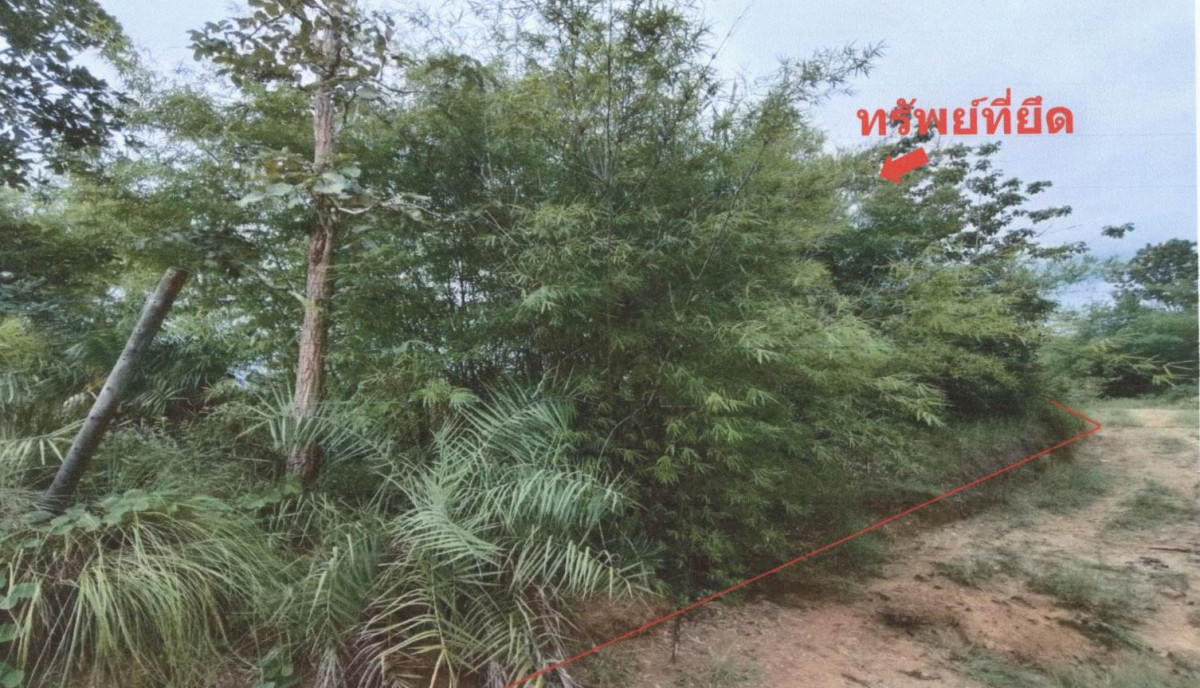 ที่ดินเปล่า เชียงใหม่ ดอยเต่า บงตัน 439450