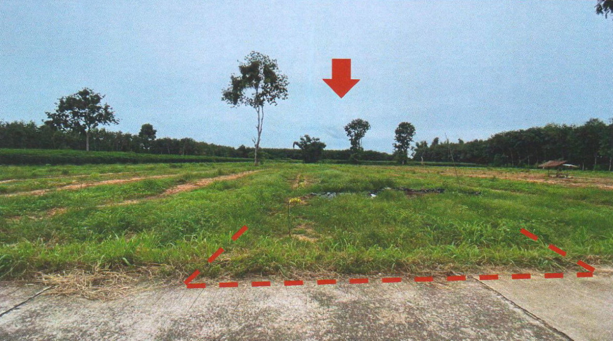 ที่ดินเปล่า ยโสธร คำเขื่อนแก้ว ย่อ 142775