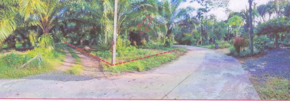 ที่ดินเปล่า พังงา ท้ายเหมือง ลำแก่น 144000