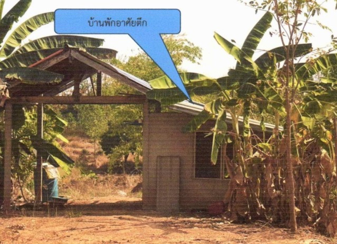 บ้านเดี่ยว สกลนคร คำตากล้า คำตากล้า 669055