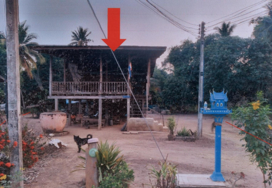 บ้านเดี่ยว พิษณุโลก พรหมพิราม มะต้อง 294720