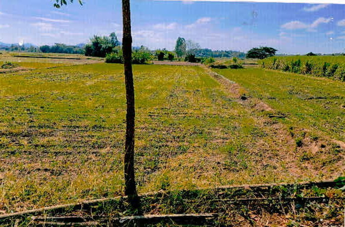 ที่ดินเปล่า เลย เชียงคาน เขาแก้ว 64090