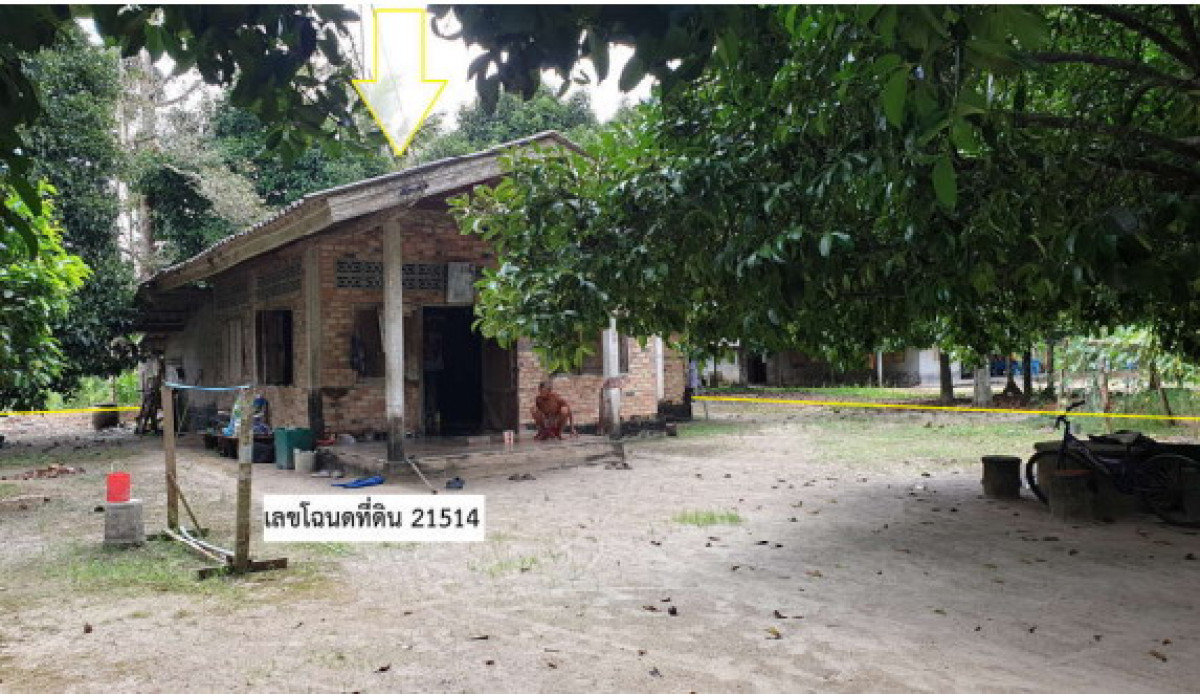 บ้านเดี่ยว นครศรีธรรมราช พรหมคีรี ทอนหงส์ 655350