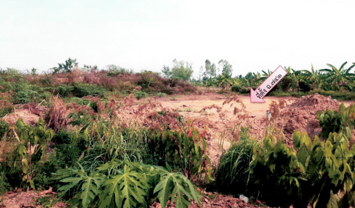 ที่ดินเปล่า เชียงราย เชียงของ สถาน 1652270