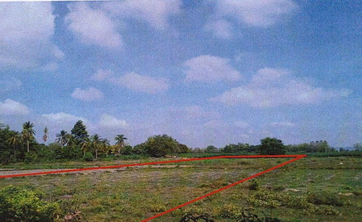 ที่ดินเปล่า พิษณุโลก วัดโบสถ์ บ้านยาง 126225