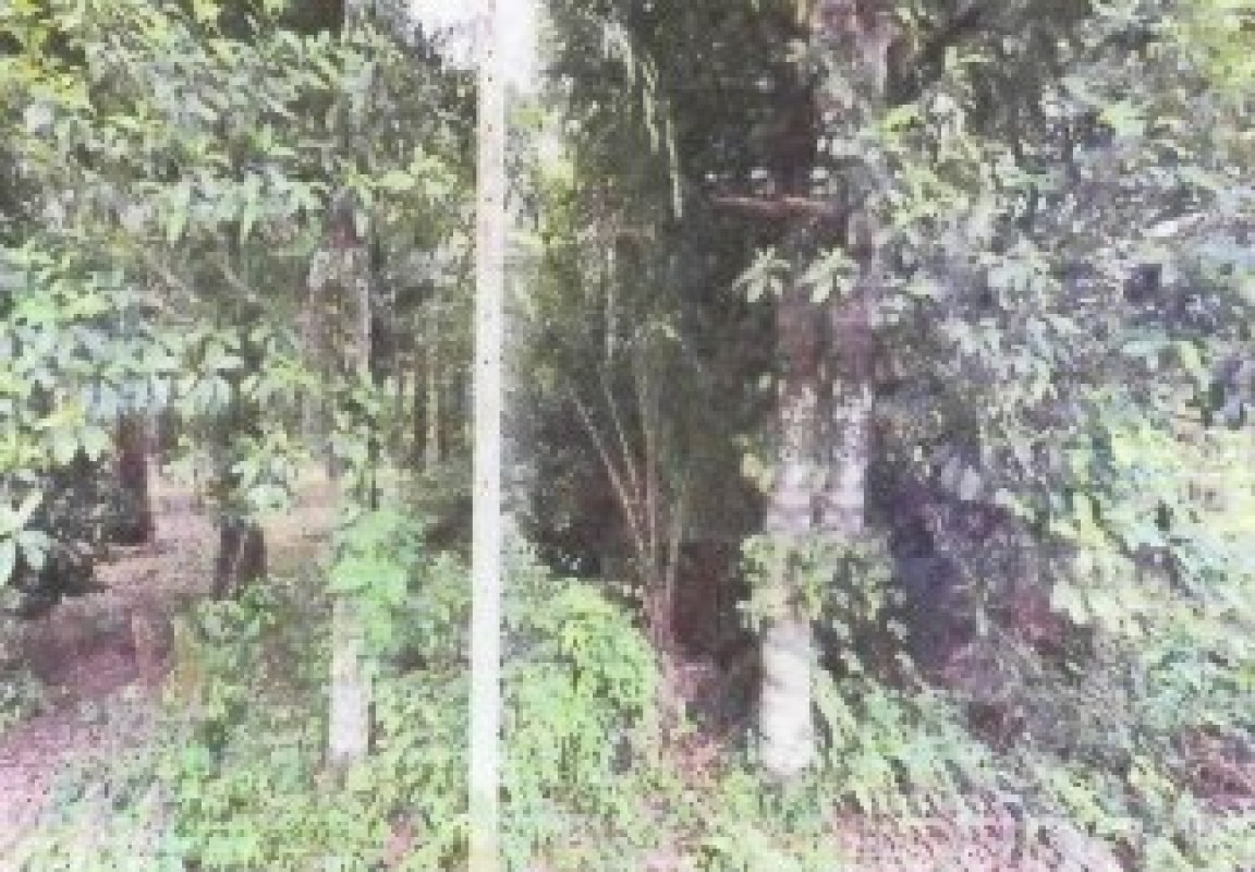 ที่ดินเปล่า ระนอง กระบุรี น้ำจืดน้อย 33480