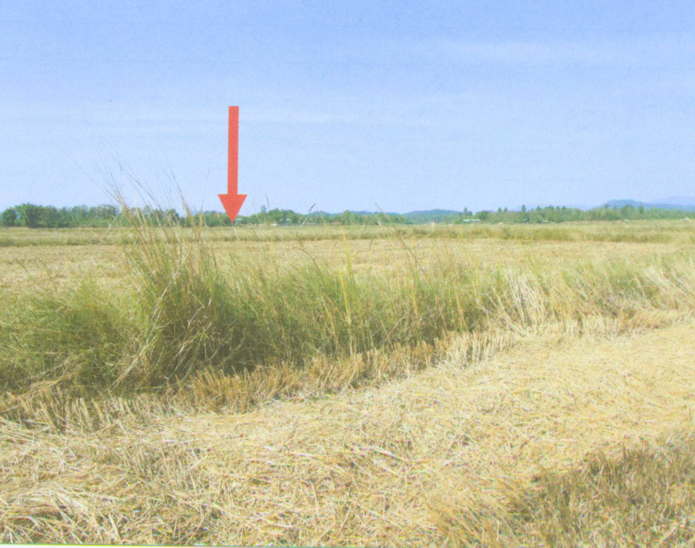 ที่ดินเปล่า เชียงราย พญาเม็งราย เม็งราย 462300