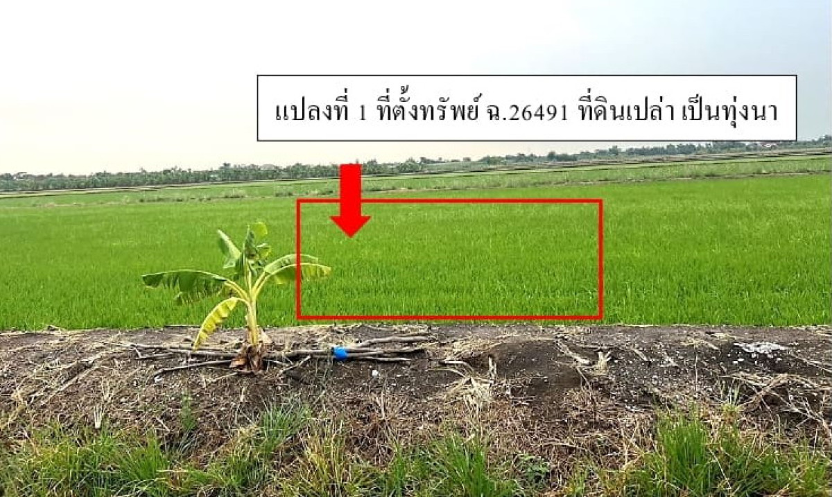 ที่ดินเปล่า นครปฐม พุทธมณฑล คลองโยง 351000