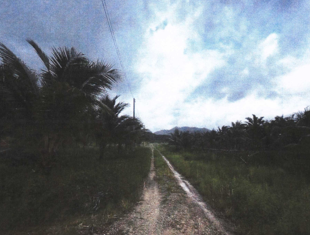 ที่ดินเปล่า ระนอง ละอุ่น ละอุ่นใต้ 4753949