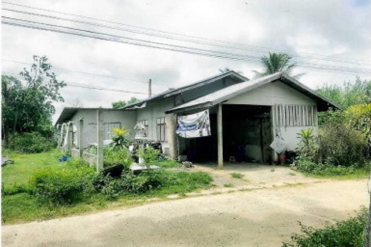 บ้านเดี่ยว บุรีรัมย์ พลับพลาชัย สะเดา 348340