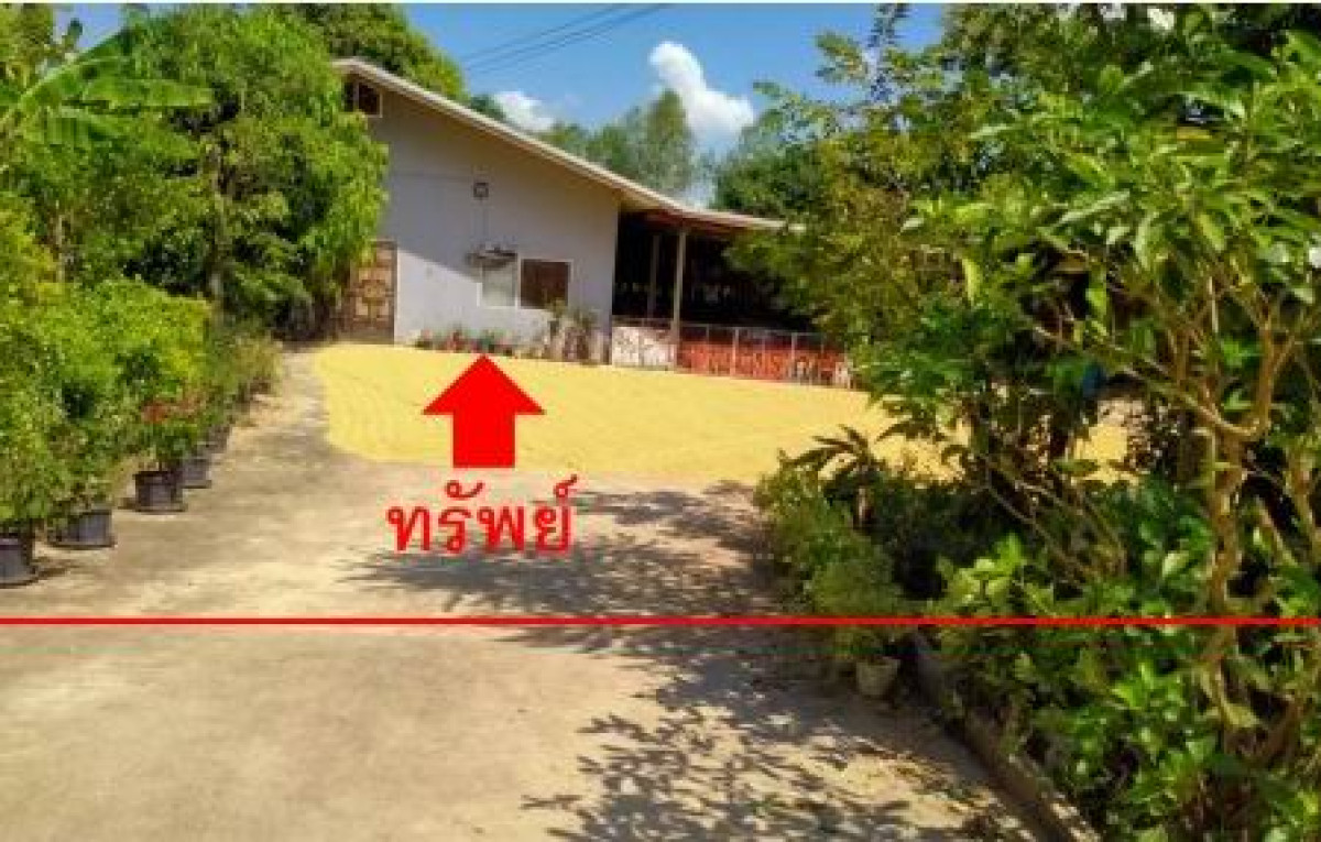 บ้านเดี่ยว กำแพงเพชร ขาณุวรลักษบุรี โค้งไผ่ 1132800