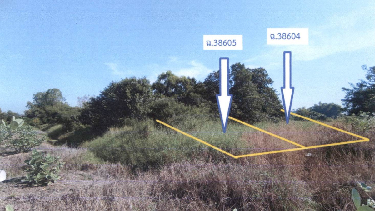 ที่ดินเปล่า นครปฐม บางเลน บางระกำ 140000