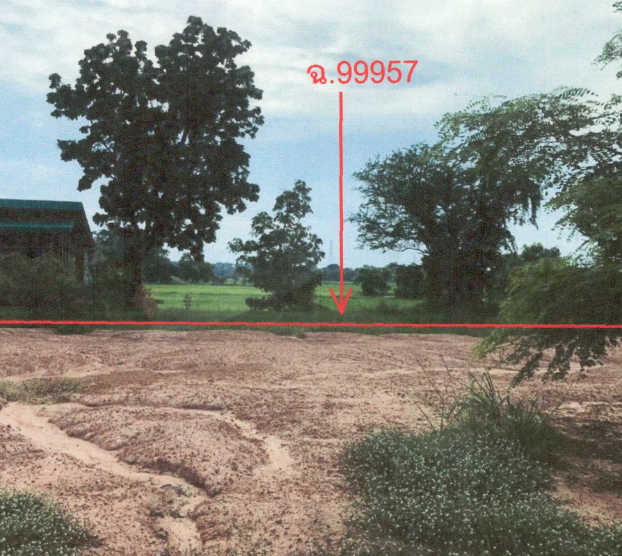 ที่ดินเปล่า พิษณุโลก เมืองพิษณุโลก ดอนทอง 100000