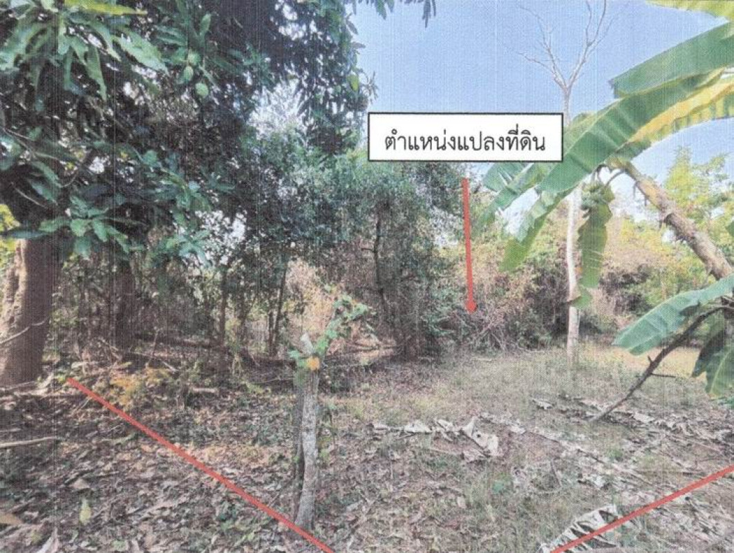 ที่ดินเปล่า สุโขทัย สวรรคโลก ย่านยาว 108000