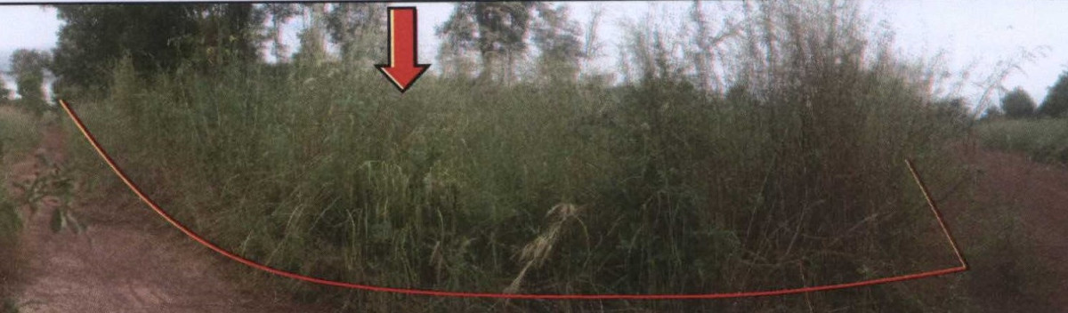 ที่ดินเปล่า สกลนคร วานรนิวาส ศรีวิชัย 988350