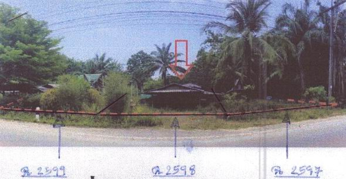 บ้านเดี่ยว กระบี่ คลองท่อม พรุดินนา 894540