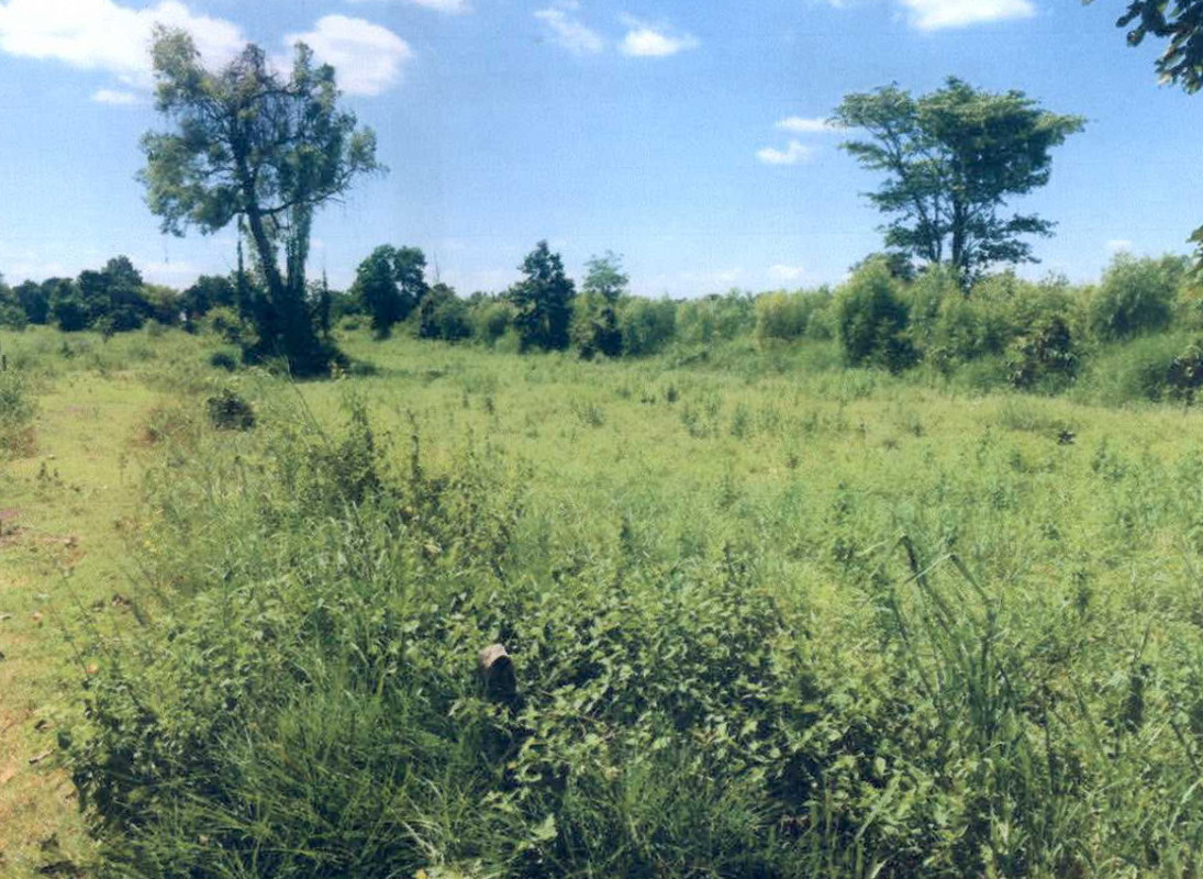 ที่ดินเปล่า กาฬสินธุ์ เมืองกาฬสินธุ์ โพนทอง 20000