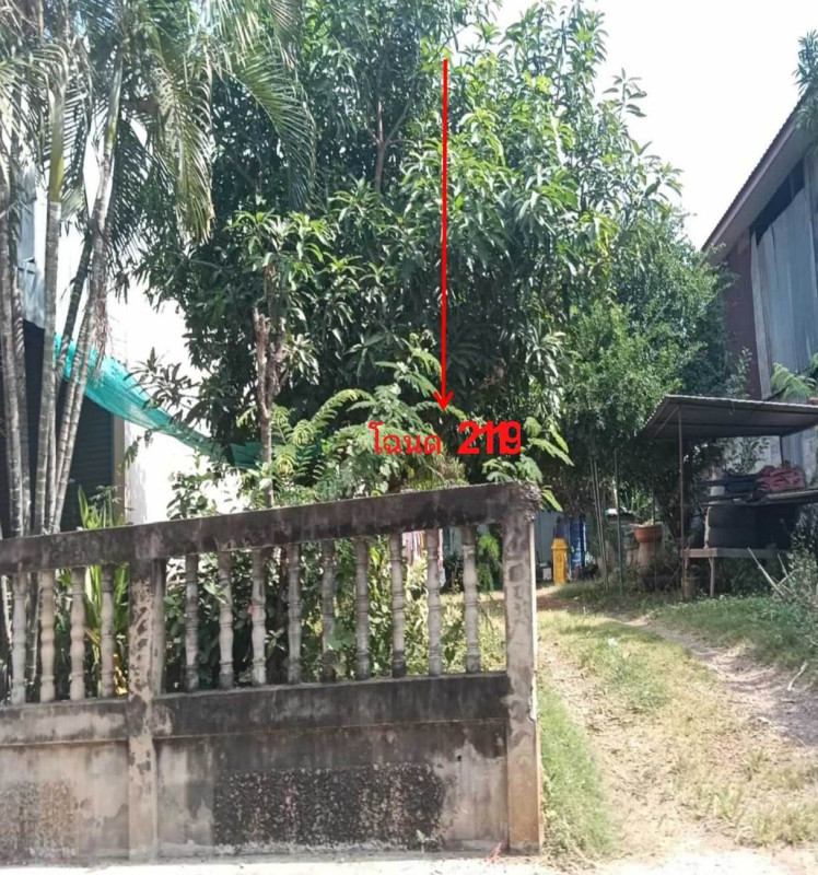 ที่ดินเปล่า หนองบัวลำภู ศรีบุญเรือง ทรายทอง 966748