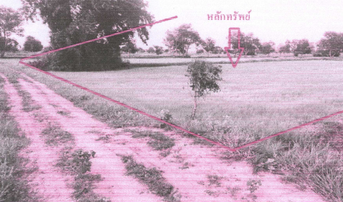 ที่ดินเปล่า มหาสารคาม ยางสีสุราช ยางสีสุราช 204660