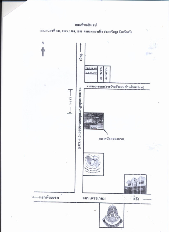 ที่ดินเปล่า ตรัง รัษฎา หนองปรือ 1864320