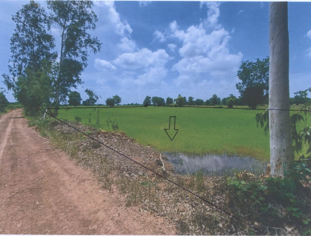ที่ดินเปล่า พิจิตร บางมูลนาก วังสำโรง 198000