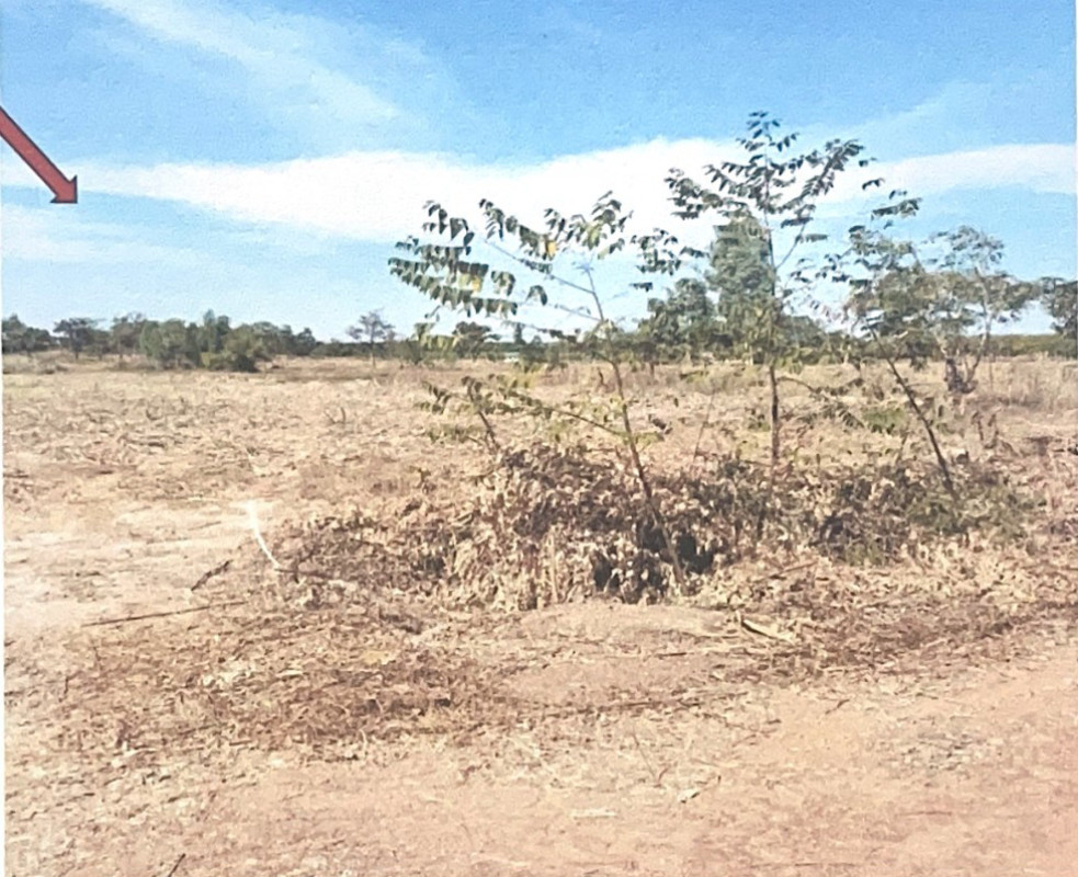 ที่ดินเปล่า อุดรธานี ทุ่งฝน ทุ่งฝน 440600