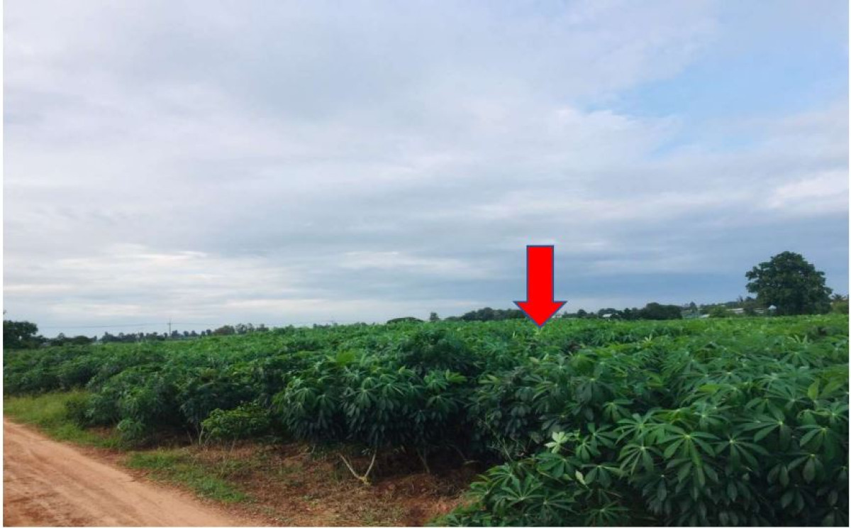 ที่ดินเปล่า อุดรธานี ศรีธาตุ บ้านโปร่ง 478940