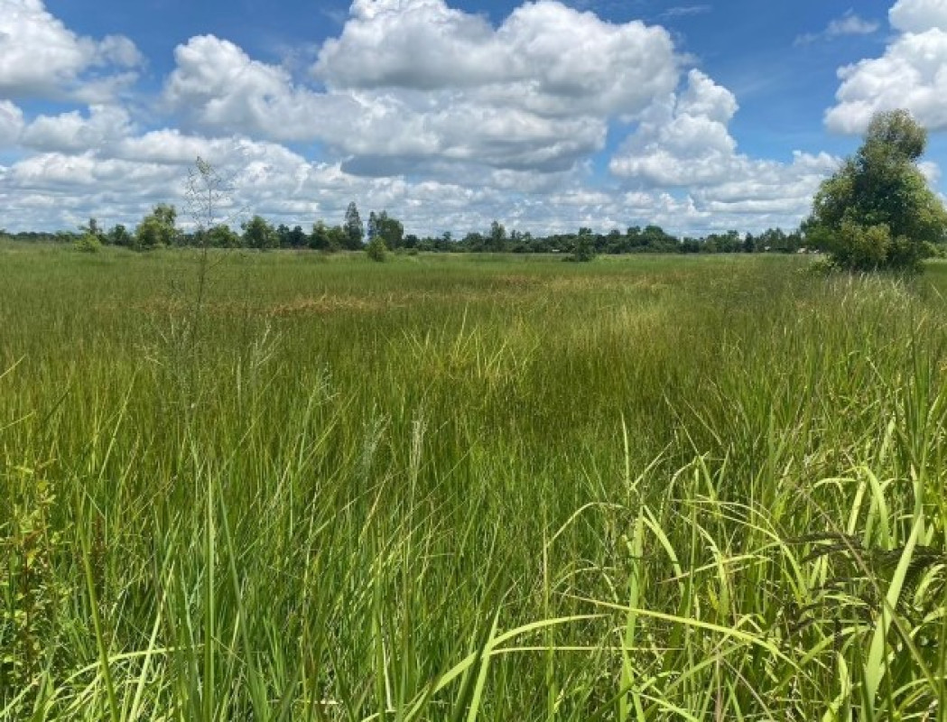 ที่ดินเปล่า สกลนคร สว่างแดนดิน ธาตุทอง 1319630