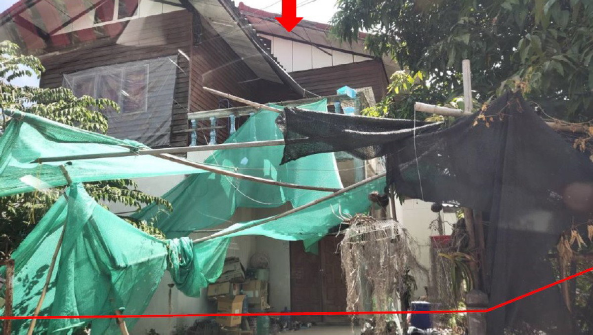 บ้านเดี่ยว บุรีรัมย์ พุทไธสง มะเฟือง 1641320