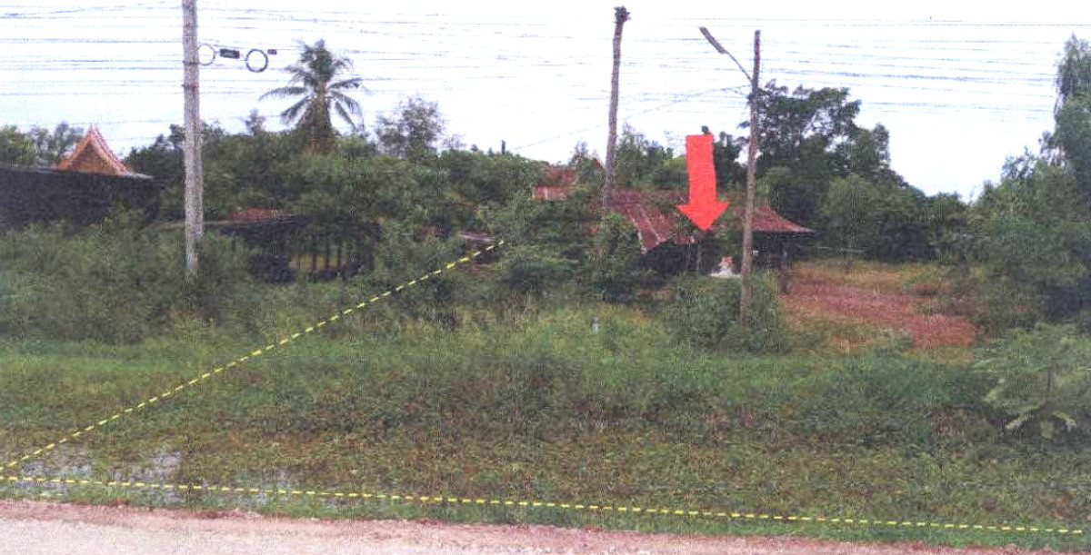บ้านเดี่ยว กำแพงเพชร พรานกระต่าย วังตะแบก 1426620