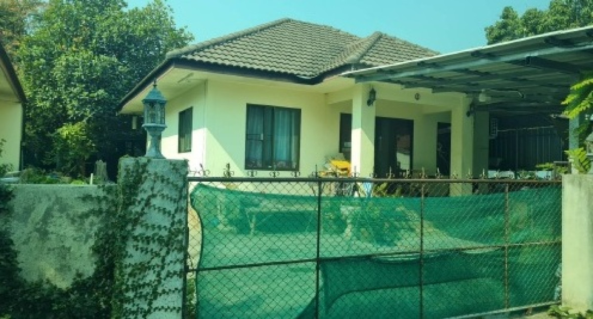 ทาวน์เฮ้าส์ ลำพูน เมืองลำพูน ต้นธง 1174348