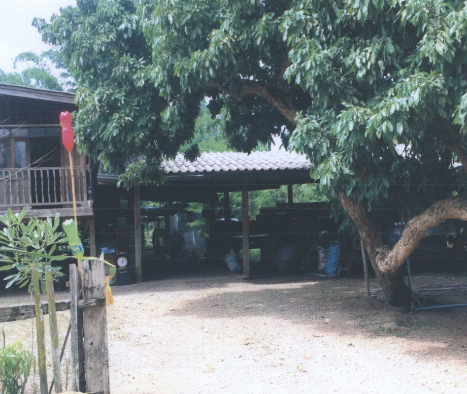 บ้านเดี่ยว ลำพูน ลี้ ก้อ 280825