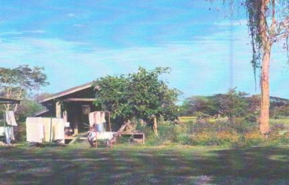 บ้านเดี่ยว พิษณุโลก เมืองพิษณุโลก วัดจันทร์ 611564