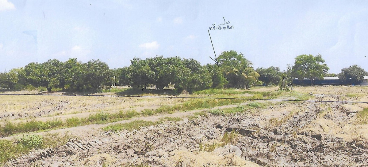 บ้านเดี่ยว สุโขทัย ศรีนคร คลองมะพลับ 1063832