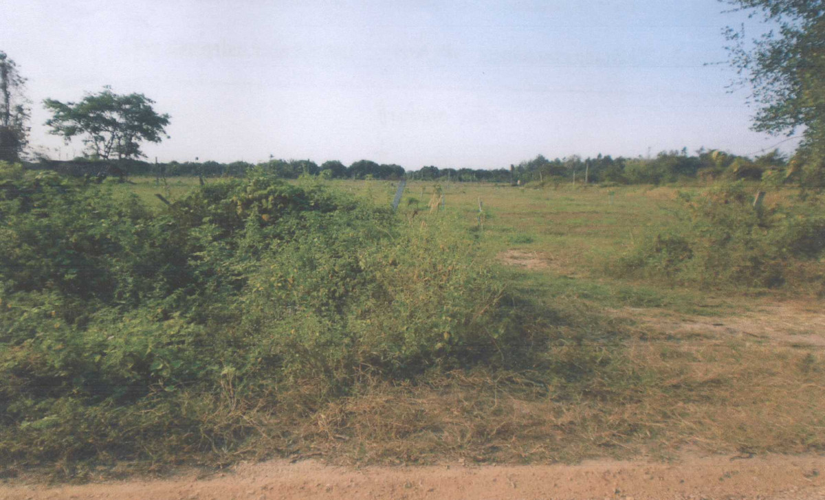 ที่ดินเปล่า เชียงใหม่ ดอยเต่า บงตัน 396910