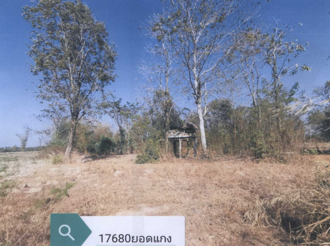 ที่ดินเปล่า กาฬสินธุ์ นามน ยอดแกง 400000