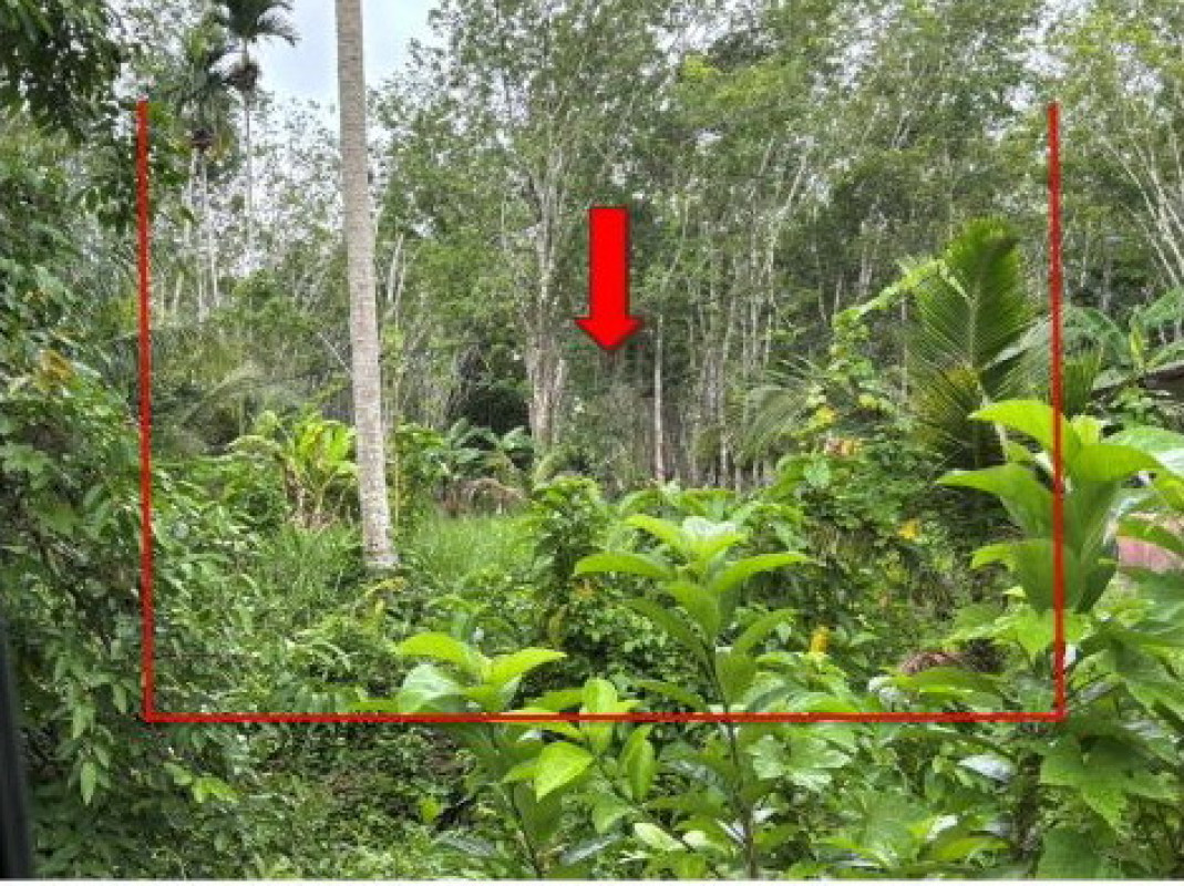 ที่ดินเปล่า นครศรีธรรมราช บางขัน วังหิน 60000