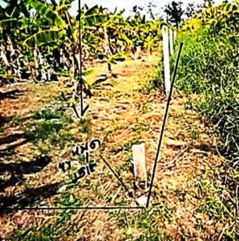 ที่ดินเปล่า กำแพงเพชร คลองขลุง ท่ามะเขือ 111600