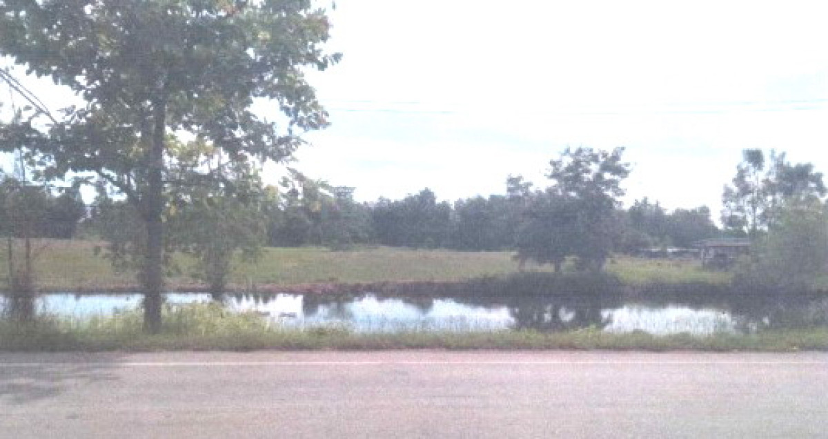 ที่ดินเปล่า กำแพงเพชร พรานกระต่าย วังควง 430650