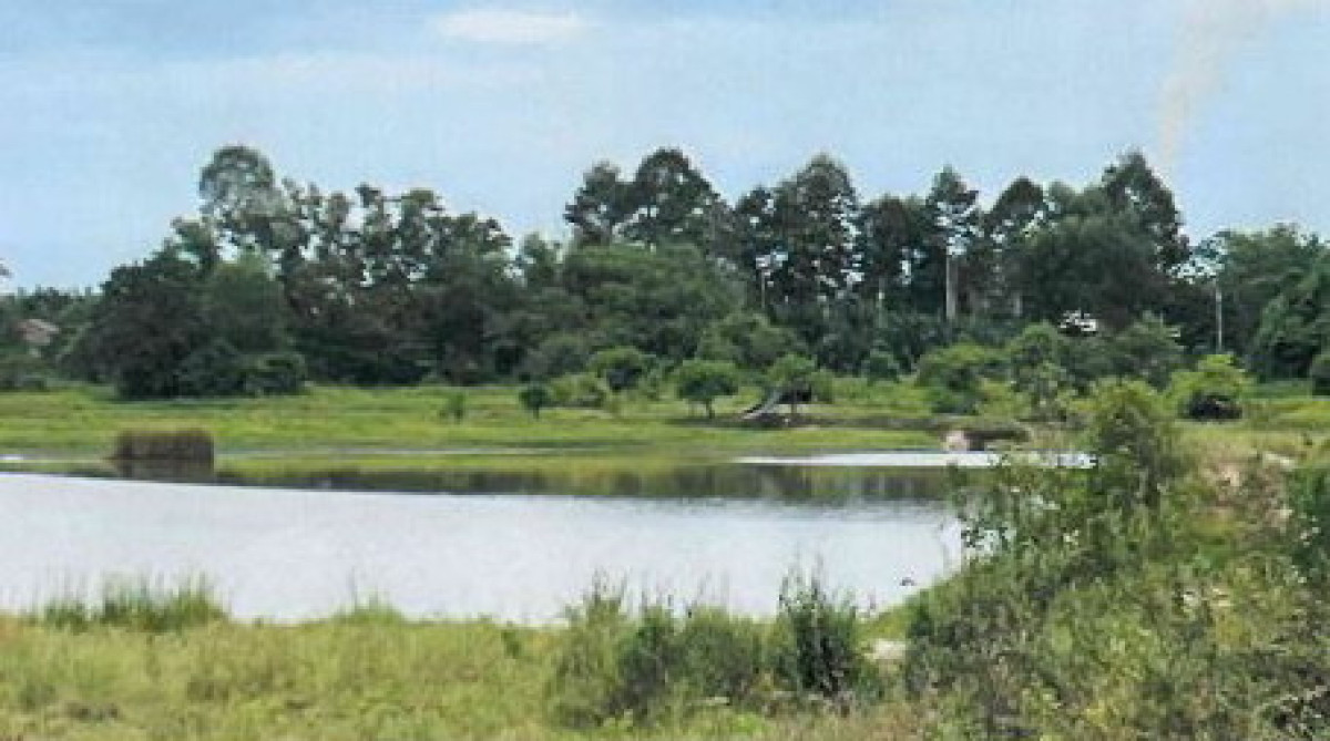 Residential land/lot Nakhon Si Thammarat Phrom Khiri In Khiri 177030