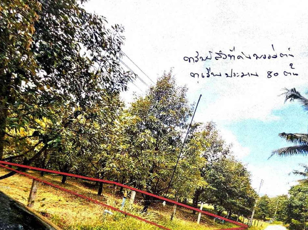 บ้านเดี่ยว ตราด เขาสมิง เทพนิมิต 589500