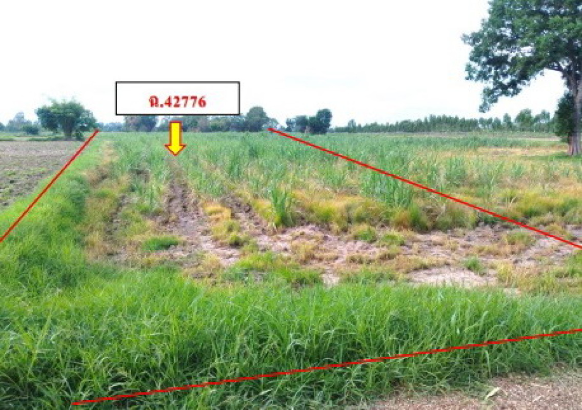 Residential land/lot Kalasin Yang Talat I Tue 330000