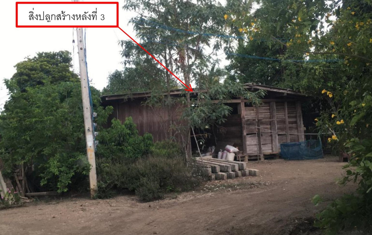 บ้านเดี่ยว ลำพูน ลี้ ก้อ 81185