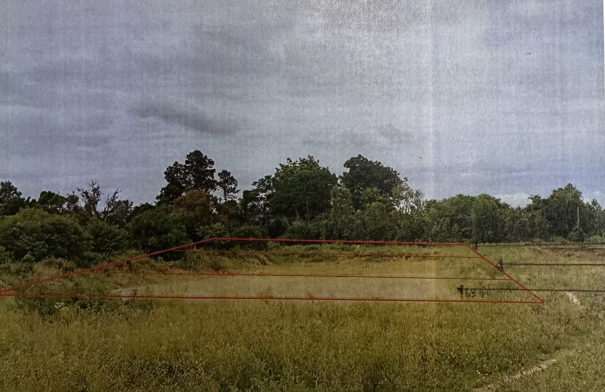 ที่ดินเปล่า มหาสารคาม เมืองมหาสารคาม แก่งเลิงจาน 337500