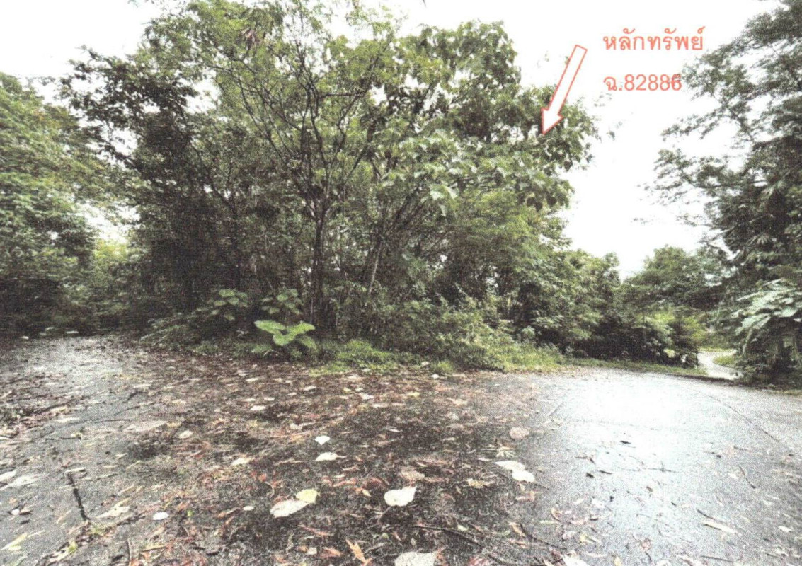 Residential land/lot Phuket Mueang Phuket Ko Kaeo 15595200